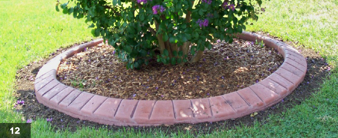 Decorative Landscape Border Bush